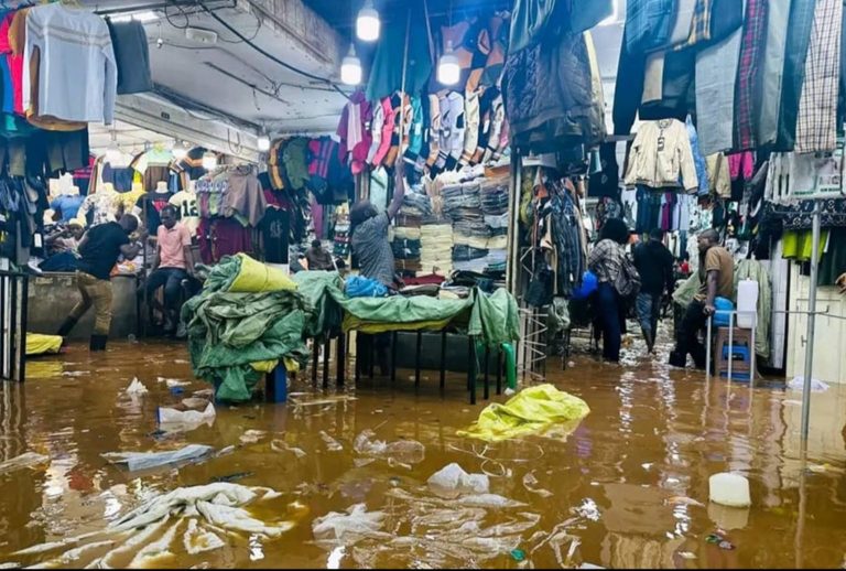 1000601220-1-1536x1036